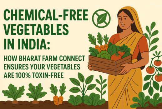 Chemical-Free Vegetables India | 100% Toxin-Free Veggies by Bharat Farm Connect